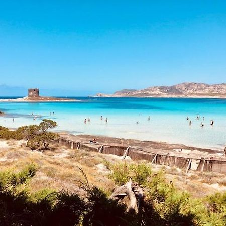 Villetta Indipendente Immersa Nel Verde Stintino Exterior foto